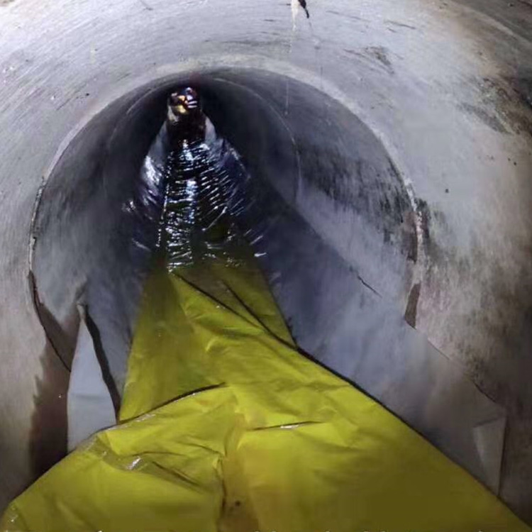 彭泽管道光固化修复